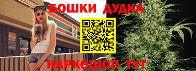 кокс Шебекино