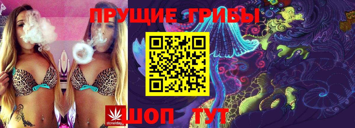 Галлюциногенные грибы Psilocybine cubensis  Псилоцибиновые грибы ЛСД  Лыткарино  Вход с VPN 
